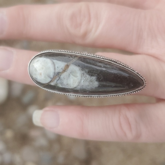 New Oversized Orthoceras Fossil Antique Design 925 Silver Statement Ring. - Picture 11 of 11